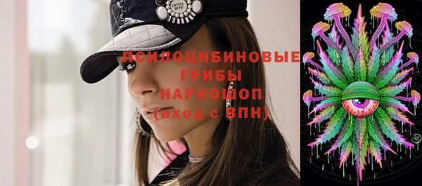 винт Горно-Алтайск