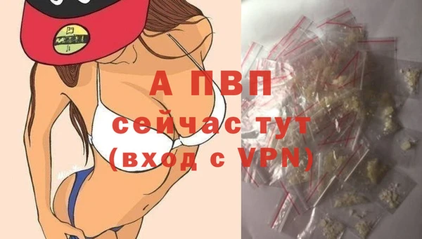 винт Горно-Алтайск