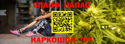 ГАЛЛЮЦИНОГЕННЫЕ ГРИБЫ Заволжье