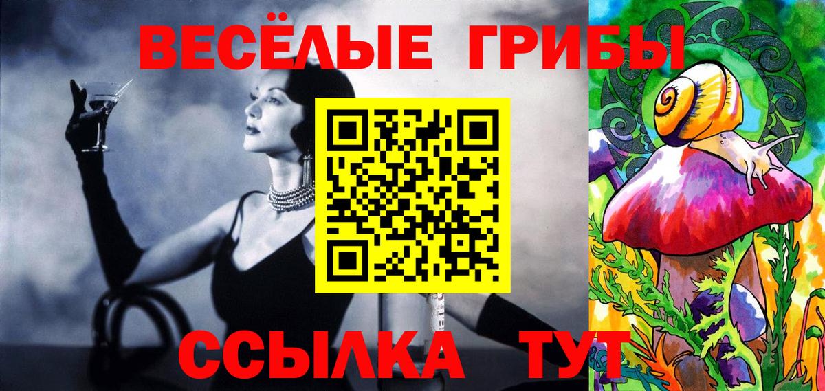 Псилоцибиновые грибы мицелий Назарово