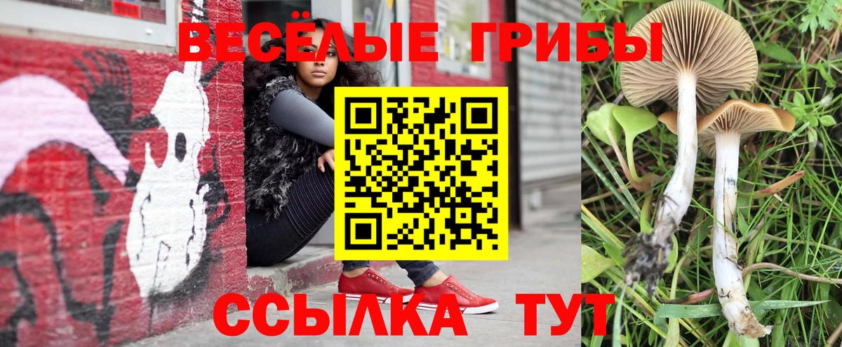 Псилоцибиновые грибы мицелий  Назарово 